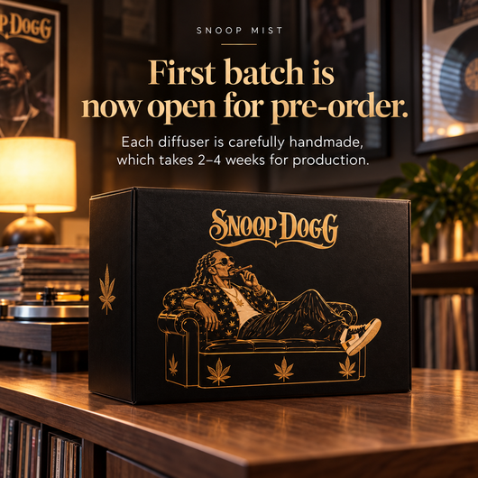 Snoop Mist Diffuser